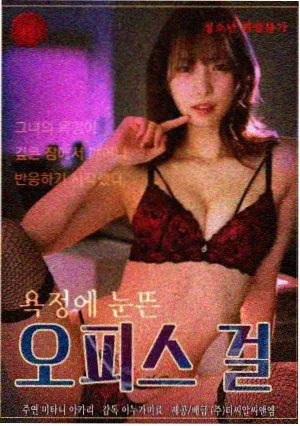 长巷灯火剧集封面